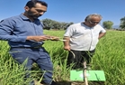 گزارش بازدید از مزرعه نوآور طرح خشکه‌کاری مرکز کمالان شهرستان علی‌آبادکتول