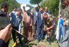 یازدهمین پویش ملی سرو ایران در گالیکش برگزار شد