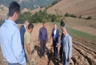  بررسی میدانی خسارات سیل به مزارع زعفران و جاده‌های بین مزارع مینودشت با حضور رئیس سازمان جهاد کشاورزی گلستان
