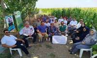 برگزاری کارگاه آموزشی مصرف بهینه آب در ذرت علوفه ای شهرستان ترکمن