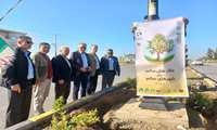 کاشت چند اصله نهال در بلوار ورودی شهر سیجوال شهرستان ترکمن در راستای شعار سال ۲۰۲۵