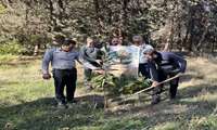 کاشت نهال در مدیریت جهاد کشاورزی شهرستان رامیان به مناسبت روز جهانی خاک
