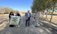 تقدیر رئیس اداره فنی و زیربنایی مدیریت جهادکشاورزی آزادشهر از خیر درختکاری به مناسبت گرامیداشت روز جهانی خاک