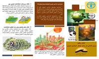 حفاظت خاک یعنی پاسداری از ریشه‌های زندگی، جایی که هر دانه، امیدی دوباره را از دل زمین می‌رویاند