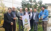 کشت نهال به مناسبت گرامیداشت روز جهانی خاک در شهرستان ترکمن