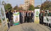 پویش کاشت نهال در محوطه مدیریت جهاد کشاورزی شهرستان گنبدکاووس به مناسبت هفته خاک