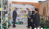 بازدید از کارگزاری توزیع بذر شهرستان علی آبادکتول