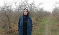 توصیه های فنی مسئول حفظ نباتات مدیریت جهاد کشاورزی شهرستان گنبدکاووس درخصوص مدیریت آفات و بیماریهای باغات در فصل زمستان