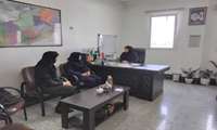 پیگیری اجرای طرح مبارزه با ملخ در شهرستان آزادشهر