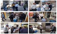 توزیع مرغ منجمد دولتی در شهرستان مینودشت
