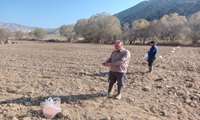 اجرای طرح انتخاب مشارکتی ارقام گندم مناطق کوهستان در روستای چمن ساور شهرستان کردکوی 