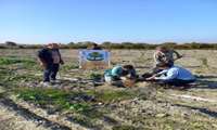 فعالیت های مصور آموزشی وترویجی به مناسبت روزجهانی خاک در شهرستان بندرگز 