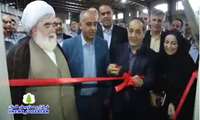 آغاز خرید توافقی برنج در استان‌های شمالی کشور
