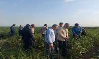 بازدید از انتخاب ارقام مشارکتی و طرح ملی سویا شهرستان علی آبادکتول 