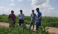 بازدید و پایش مزارع گندم روستاهای بهلکه نفس، اودک دوجی و حسن طبیب مرکز جهاد کشاورزی مزرعه کتول شهرستان علی‌آباد کتول 