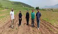 مزارع اسطوخودوس، به جاذبه گردشگری شهرستان آزادشهر تبدیل شده است
