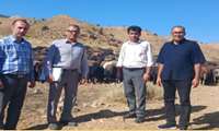 بازدید میدانی از دامداری‌های مراتع چهارباغ و شاهکوه برای بررسی مشکلات دامداران