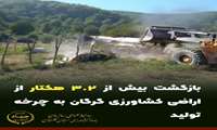 بازگشت بیش از ۳.۲ هکتار از اراضی کشاورزی گرگان به چرخه تولید