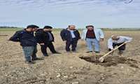 بازدید میدانی از روند احداث باغ زیتون در شهرستان کردکوی 