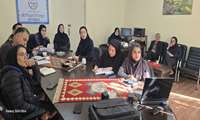 حضور اعضای تیم تسهیلگری کشاورزی گلستان در وبینار هفته بین المللی تسهیلگری 