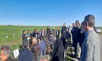طرح پایگاه نوآوری در دیم زار ها در شهرستان ترکمن