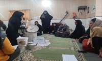 برگزاری دوره آموزشی و بازدید از کارگاه پرورش قارچ دکمه‌ای در گنبدکاووس