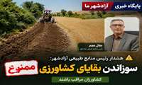 هشدار منابع طبیعی آزادشهر: سوزاندن بقایای کشاورزی ممنوع؛ کشاورزان مراقب باشند