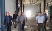 بازدید معاون اقتصادی استاندار از واحدهای تولیدی، صنعتی و گردشگری شهرستان آزادشهر
