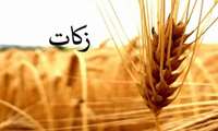 همکاری کشاورزان روستای عطا بهلکه شهرستان آزادشهر در پرداخت زکات گندم 