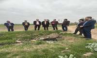 بازدید میدانی اکیپ نظارتی از روند لایروبی کانال و مرمت جاده بین مزارع شهرستان علی آباد کتول