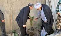 به مناسبت روز درختکاری، غرس نهال با حضور جمعی از مسئولان شهرستان آزادشهر انجام شد