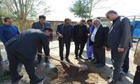 درختکاری در روستای نیلی با حضور مسئولان شهرستان آزادشهر