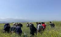 برگزاری روز مزرعه شناسایی و معرفی علوفه های پاییزه در راستای اجرای الگوی کشت در شهرستان علی آباد کتول