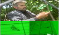 زنگ هشدار مگس  مدیترانه ای میوه در شهرستان بندرگز  بصدا درآمد