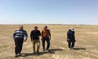 بازدید مسئول کشوری از عملیات مبارزه با ملخ مراکشی در گنبدکاووس 