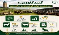 گنبدکاووس؛ رتبه تخست تولید گوشت قرمز در گلستان؛ سهم ۲۲ درصدی در تأمین پروتئین استان 