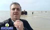 آغاز فصل صید ماهیان استخوانی از منطقه میانکاله