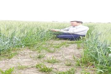 IMG_20260426_174206_429