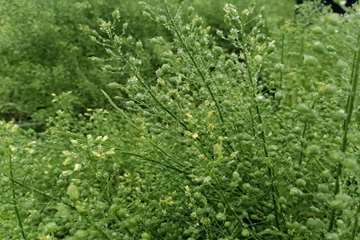 photo25962380692