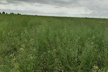 photo25979779609