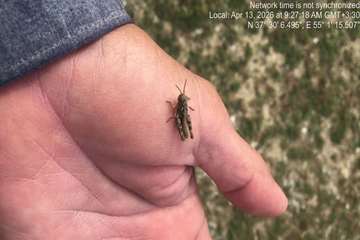 photo25991180849