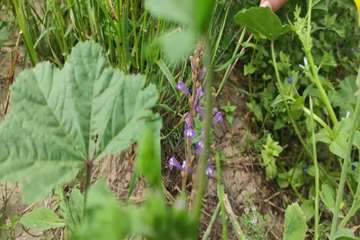 photo26131314738