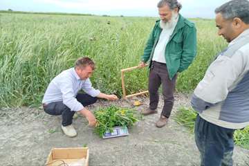 IMG_20260429_184106_218