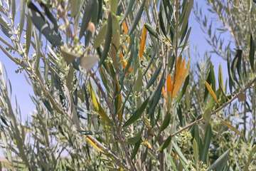 photo26216654892