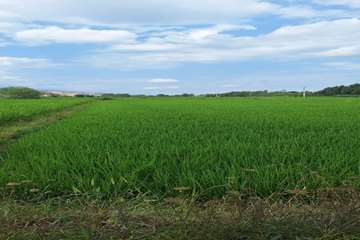 IMG_20260809_191902_934
