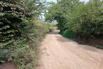 IMG_20260811_102751_529
