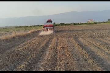 IMG_20260812_184020_943