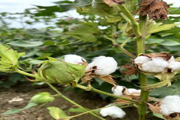 IMG_20260820_170046_450
