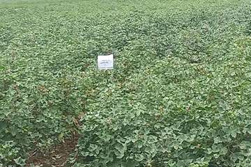 IMG_20260820_170124_858