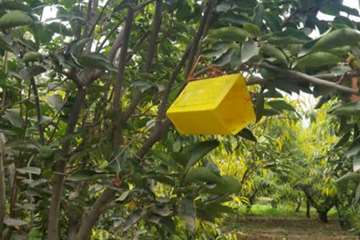 IMG_20260820_170832_980
